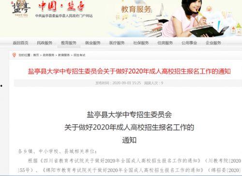 成人免费2020视频