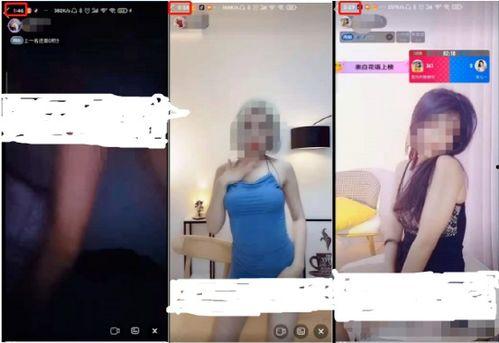 成人干批视频在线观看,在线观看体验全解析