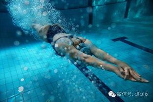 成人新手游泳视频大全图片,视频大全图片解析，轻松掌握游泳技巧