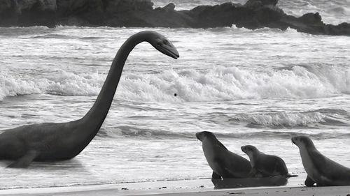 水怪变成人形视频播放,揭秘人形奇观视频背后的真相