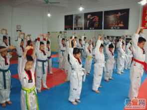 成人女生跆拳道培训视频,女性学员实战技巧解析