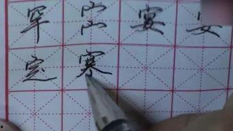 练字视频素材成人版,从零基础到书法达人