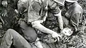 无翼鸟之成人动态视频,揭秘成人娱乐的虚拟世界