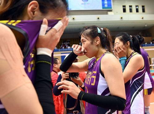 成人拍球音乐推荐大全视频,跟随节奏，释放活力