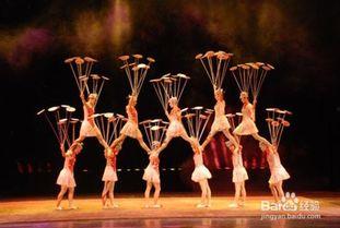 成人杂技哪里学好呢视频,哪里是学习杂技的最佳选择？