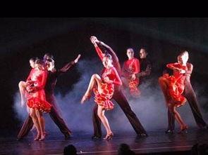 成人唯美舞蹈视频教程,唯美舞蹈教程视频深度解析