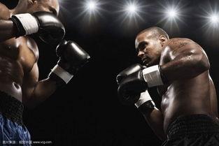 成人拳击不倒翁打法视频,技巧与策略全解析
