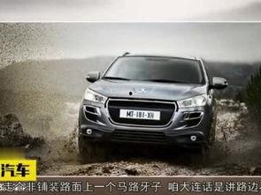 玩具车成人载人视频,趣味与安全的双重体验