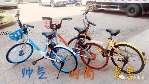 成人轻便单车测评视频